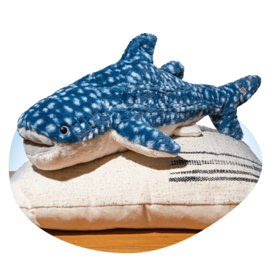Track a Real Whale Shark - The Quest Plush
