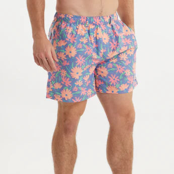 Harbor Lined Trunk - Pushing Daisies