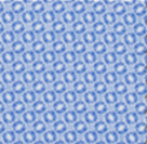 Starburst Print Performance Polo - Blue